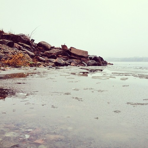 Find momo at a frozen lake.