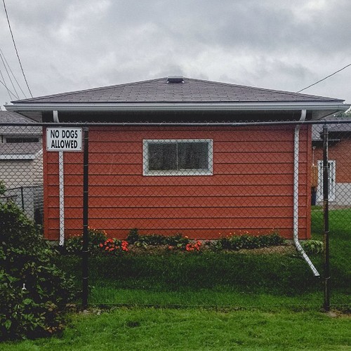 Find Momo breaking the rules.  (at Tin Can Alley)