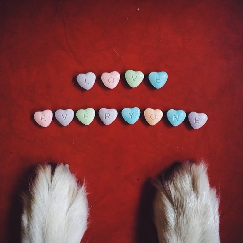 A good alternative for you peeps who don’t like to give into today’s charming “buy me love” mentality, opt to love everyone on the daily instead! Taking this shot had me reflecting on the couple of times I’ve already failed at it today and reminded me that it’s really an ongoing journey. 
Love everyone; even that guy who cut you off, or that girl who gave you the stinkeye, but especially that human or animal you happen to be spending so much time with.  (at The Love Shack)