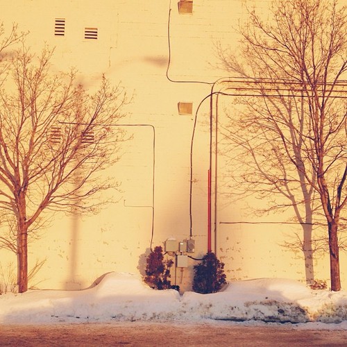 Find momo in a sunset projection.