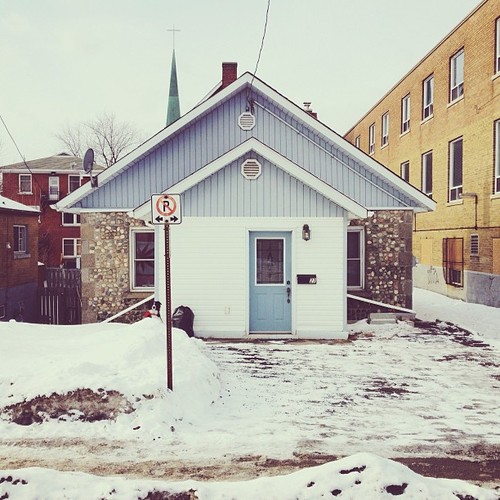 Find momo in a house portrait.