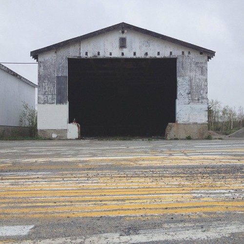 Find momo at the test strips.