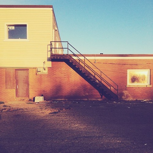 Find momo at an old motel.