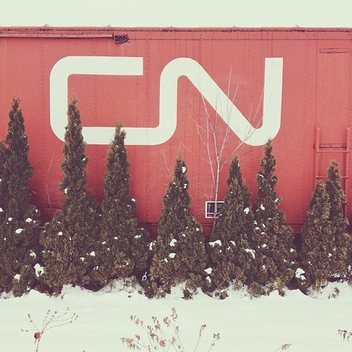 Find momo at a train car.