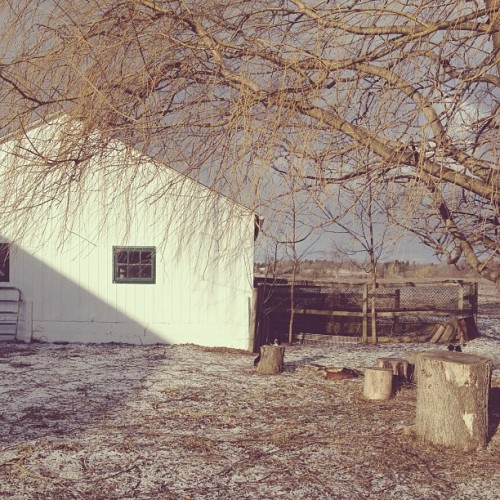 Find momo on a farm! (at Arva)