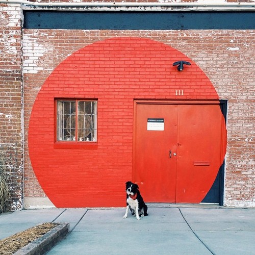 🔴 (at Wedge Brewing Company)