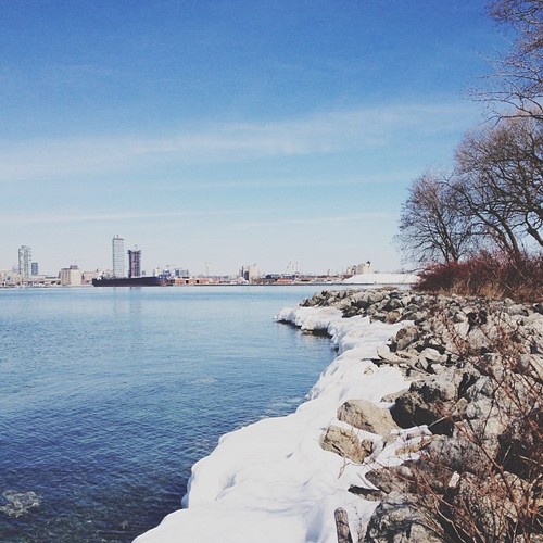 Find momo on the shoreline.