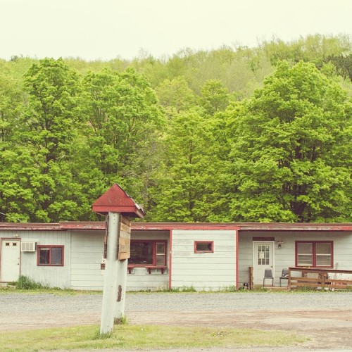 Find Momo at a vacant motel. #findmomo