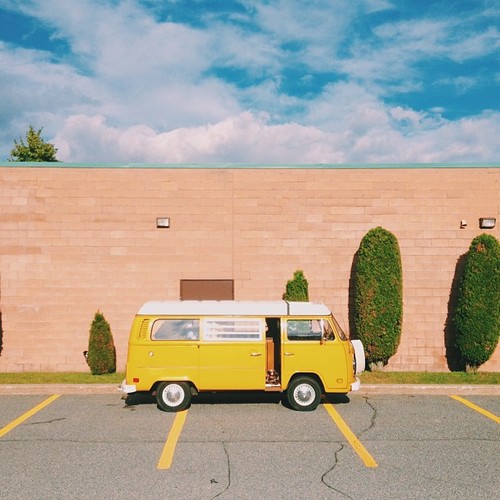 Find Momo the dog! (at Karen’s Truck)