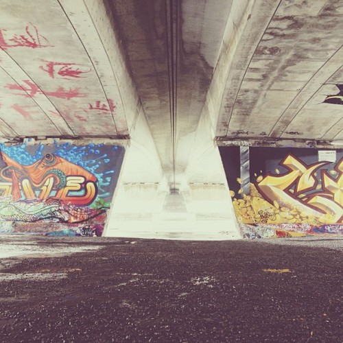 Find momo at the graffiti wall.