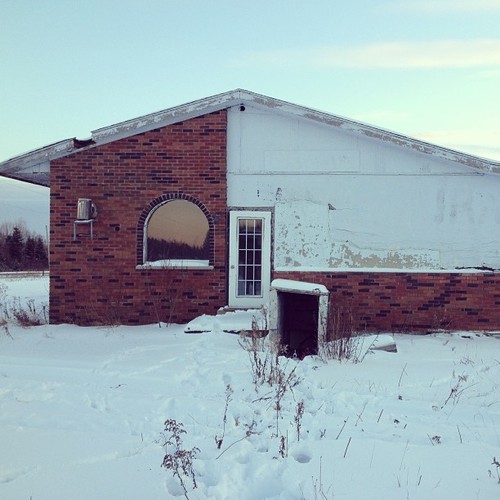 Find momo at a vacant motel.