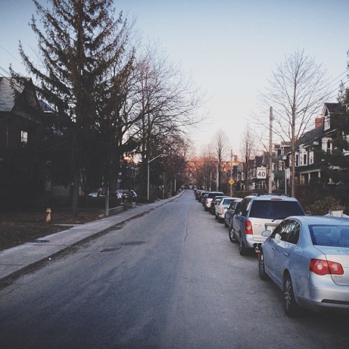 Find momo on a quiet street.