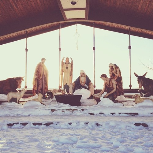 Find momo in Cadillac, Michigan.