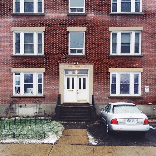 Find Momo at an apartment building.