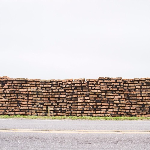 Find Momo in a lumber pile.