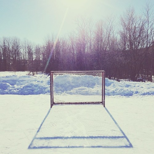 Find momo back in the frozen north.