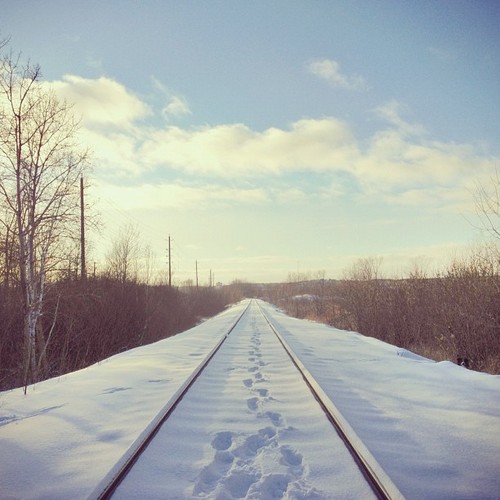 Find momo on the railroad tracks.