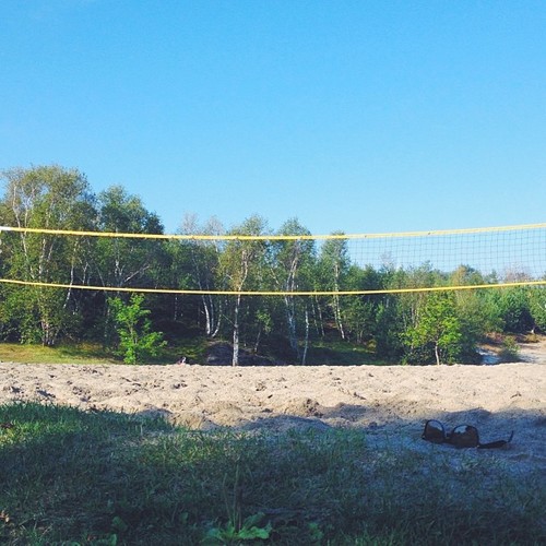 Find Momo at beach volleyball. #findmomo (at Moonlight Beach)