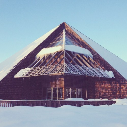 Find momo at Fielding Memorial Park. (at Feilding Memorial Park)