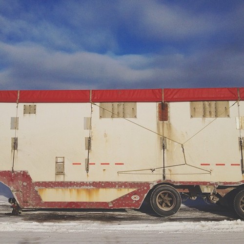 Find momo at a parked trailer.