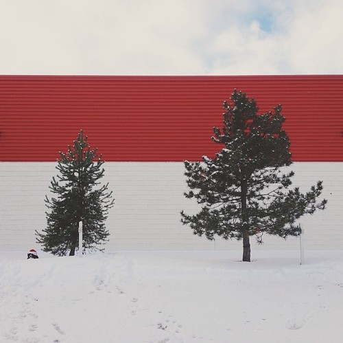 Have a great holiday, whatever you’re doing, from Momo and I.