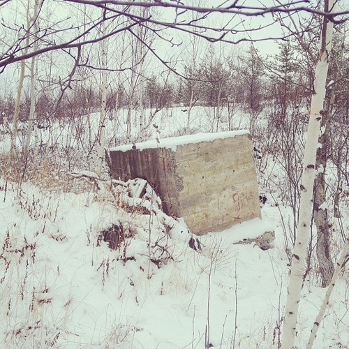 Find momo behind a cement cube.