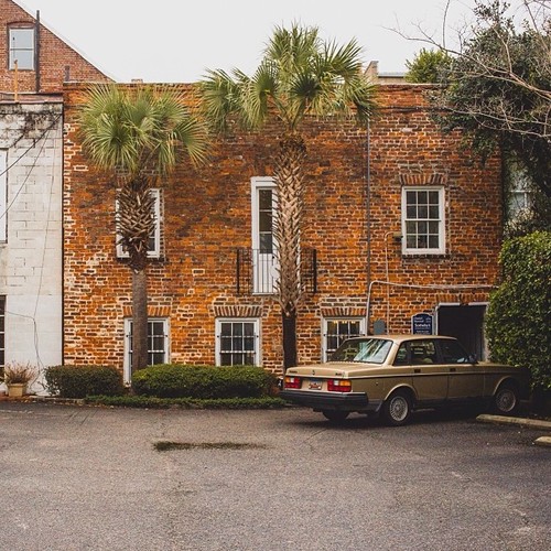 Find Momo in a parking lot.