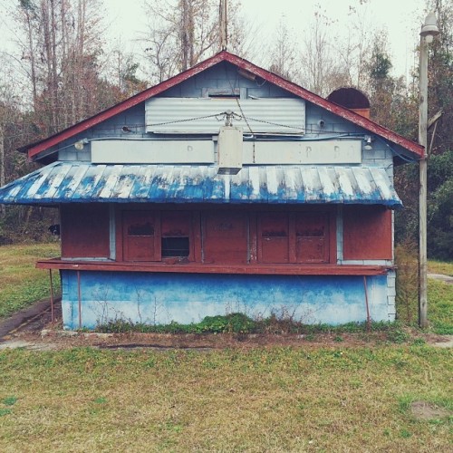 Find Momo at Moody’s BBQ (likely closed for the season).