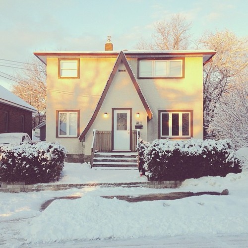 Find momo in a house portrait.