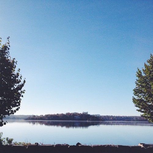 Find Momo on the lake (at Bell Park)