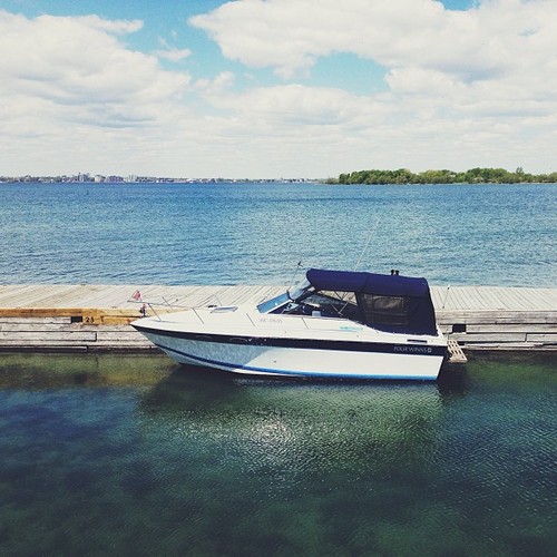 Find momo on a boat. (at Wolfe Island Ferry)
