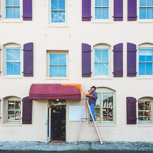 Find Momo while this painter makes a very good color choice.