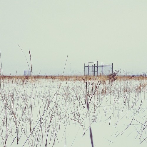 Find momo at the plateau.