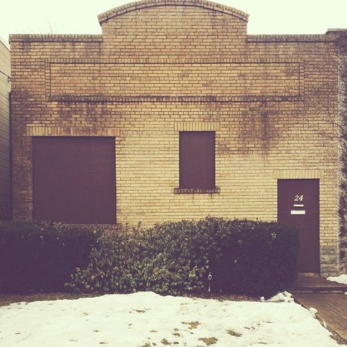 Find momo in this yard!