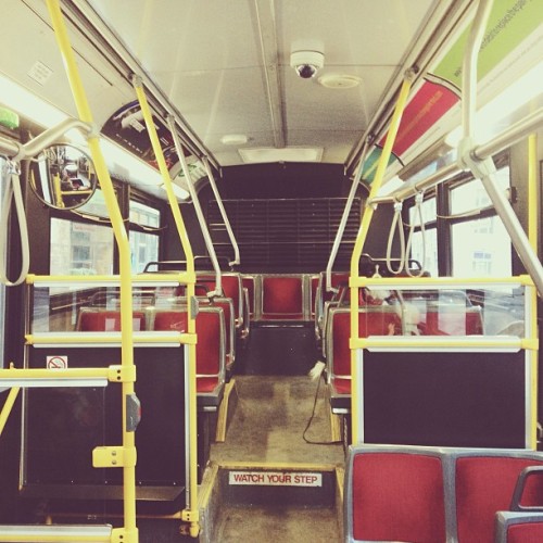 Find momo on a bus. #findmomo