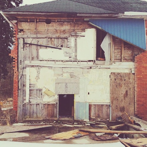 Find momo at an abandoned house. #findmomo #animals