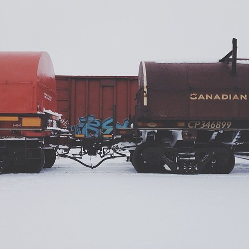 Find momo hanging out with trains.