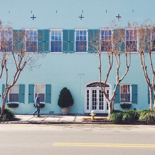 Find Momo learning about historic buildings.