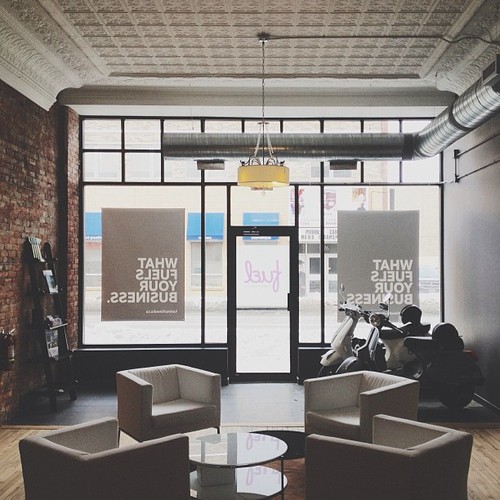 Find momo in a design and marketing studio.