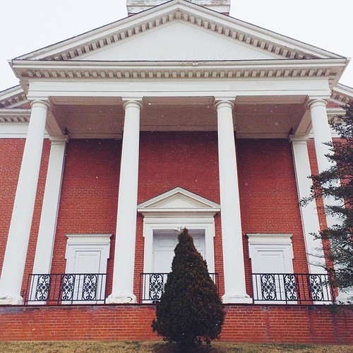 Find Momo at this building with a poorly centred tree.