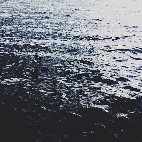 Find Momo in the water. #findmomo  (at Moonlight Beach)