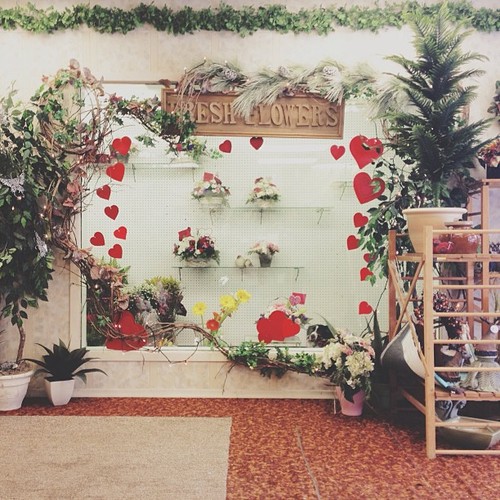 Happy day after Valentines Day! #findmomo