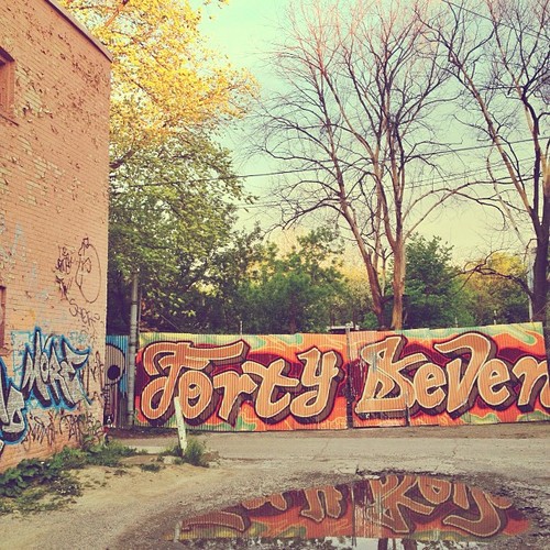 Find momo in a back alley!