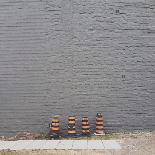 Find momo. Easy/cute.