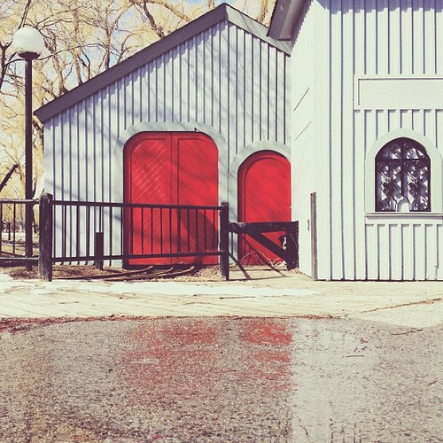 Find momo on Toronto Island.