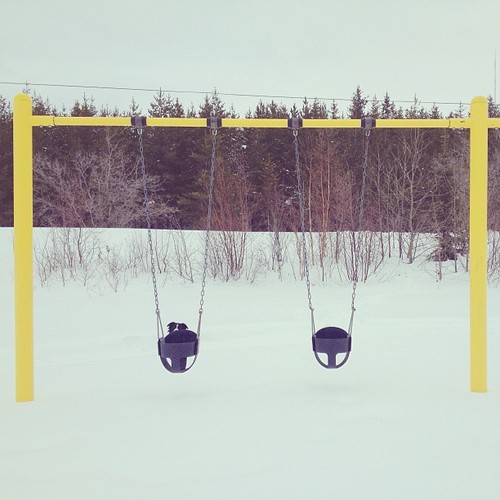 Find momo at the swing set.