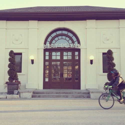 Find momo at the Palais Royale.