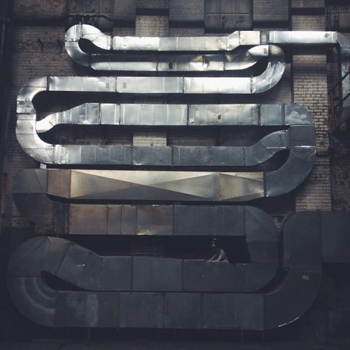 Find momo in some ductwork. (at Globe Dye Works)