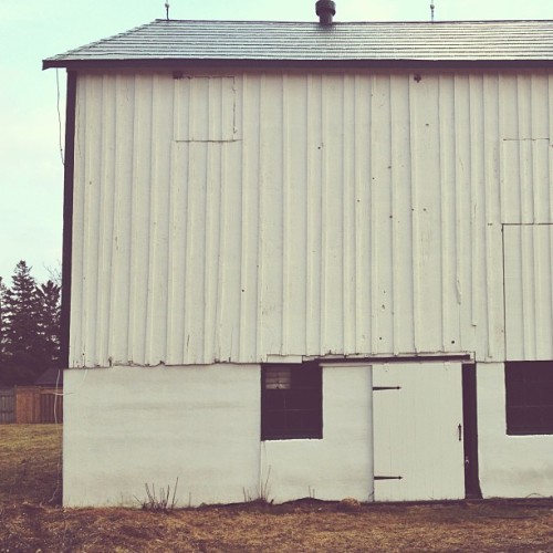 Find momo at a barn.