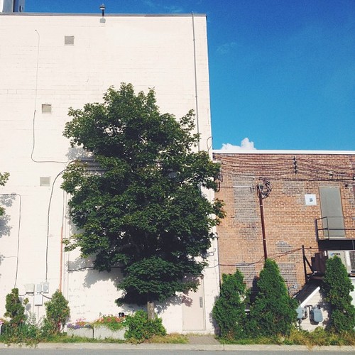 Find Momo downtown. (at Speakeasy)